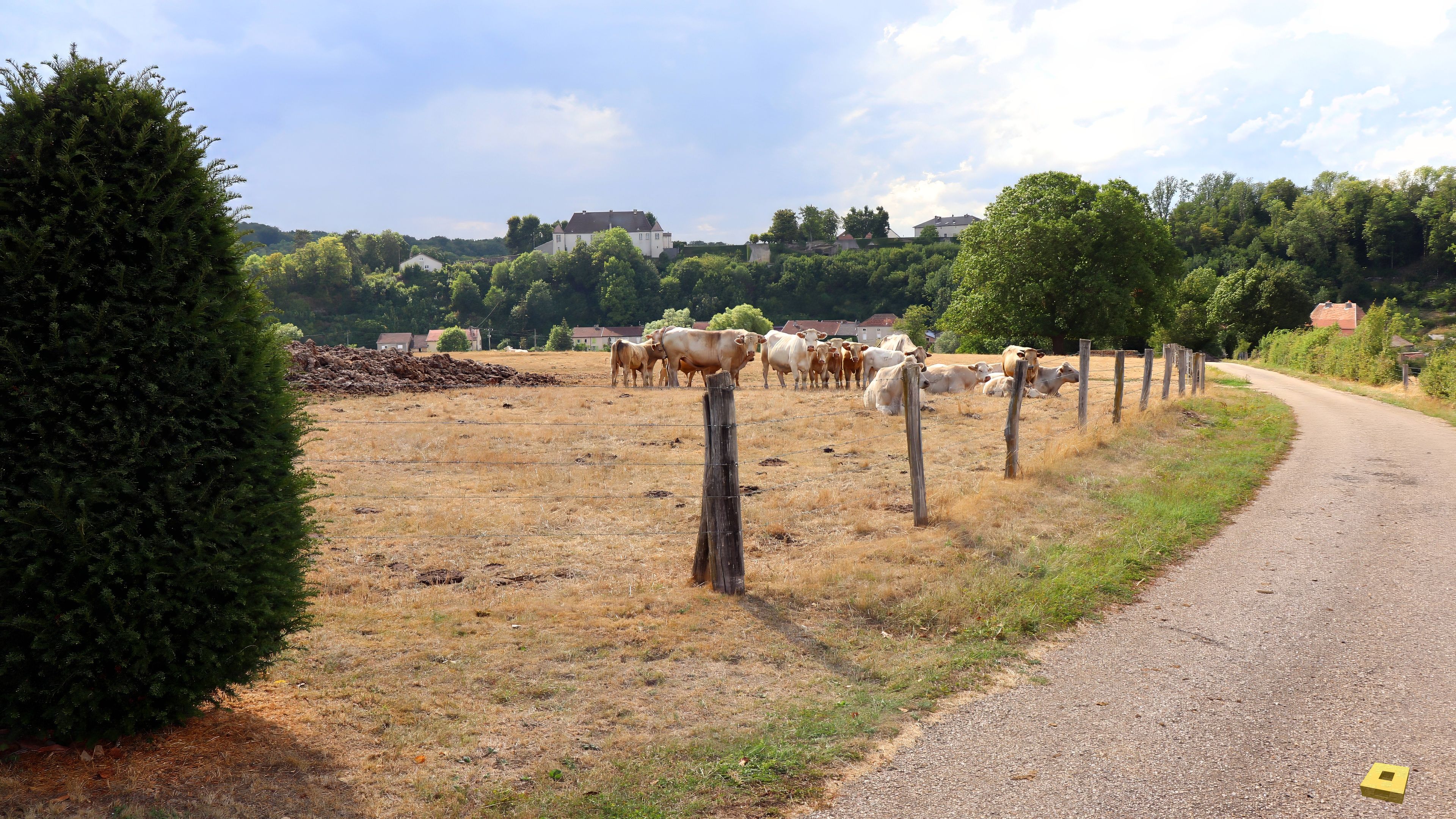 Harchéchamp, view of the village (I)