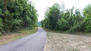 Harchéchamp, Couvonges (S)