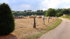 Harchéchamp, Blick auf das Dorf (I)