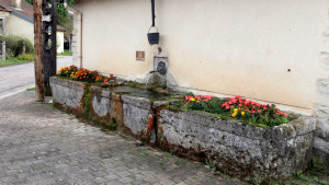 Imbrécourt, fontaine (S)