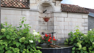 Jainvilotte, fountain (S)