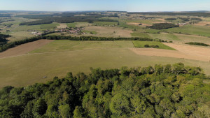 La Mothe, near the mill (P)