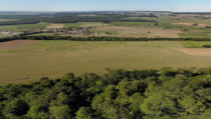 La Mothe, in der Nähe der Mühle (P)