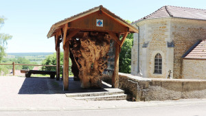 Lafauche, roots (S)