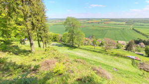 Lafauche, castle - View (P)