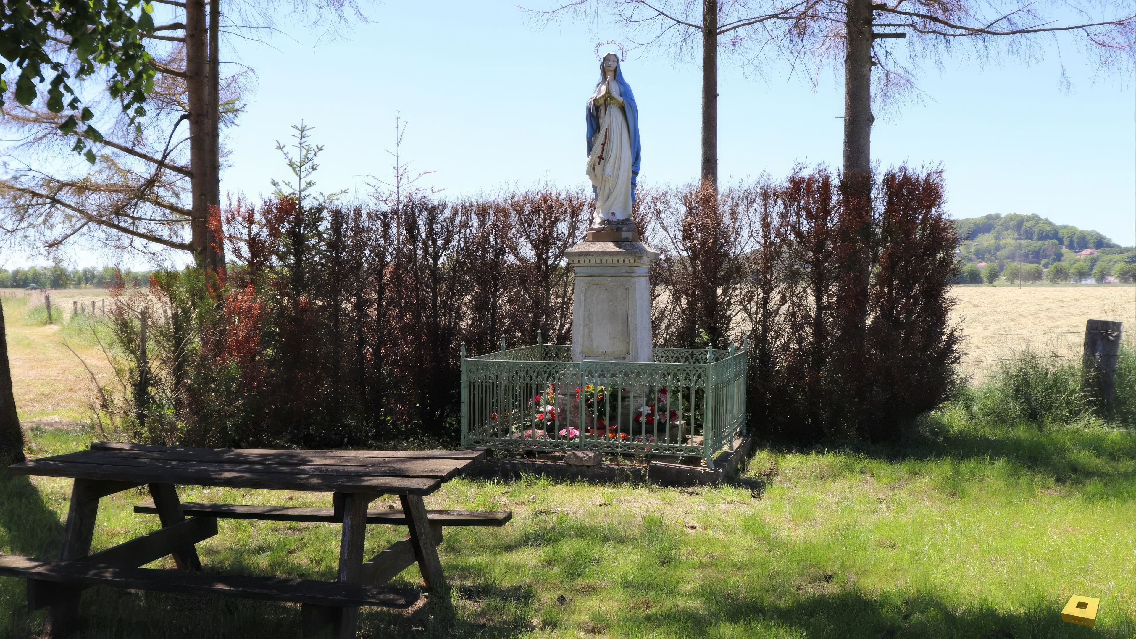 Liffol-le-Petit, virgin (S)