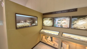 Liffol, museum - ground floor (P)
