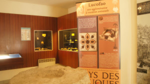 Liffol, museum (P)