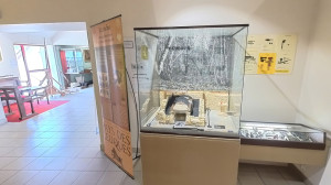 Liffol, museum - floor (P)