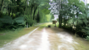 Midrevaux, pond (T)