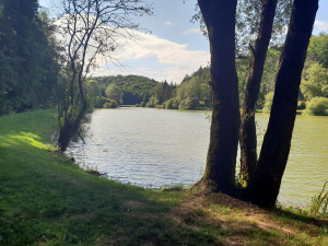 Midrevaux, pond (I)