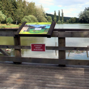 Midrevaux, pond (S)