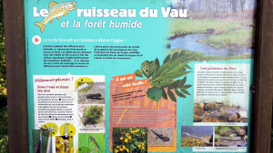 Midrevaux, pond (I)
