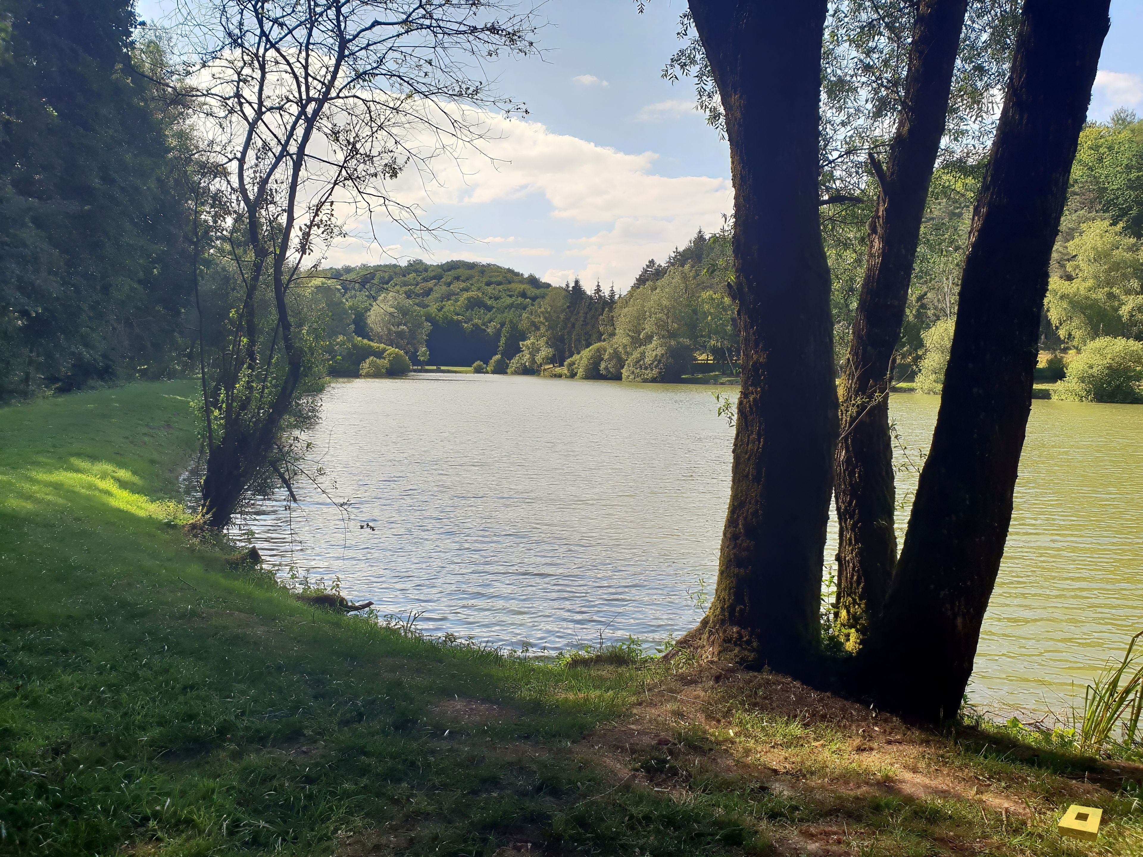 Midrevaux, pond (I)