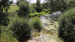 Moncel, le Vair (S)