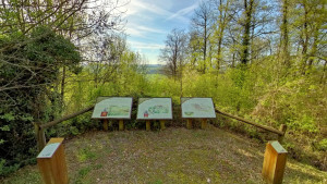 Fort-Bourlémont (P)