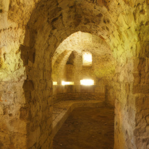 Fort-Bourlémont, interior caponier (P)