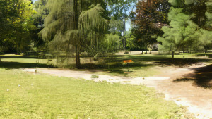 Fort-Bourlémont, arboretum (P)