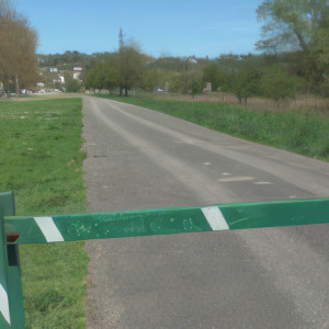 Neufchâteau, die Kastanien (S)