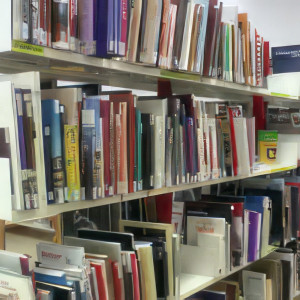 Neufchâteau, Bibliothek (S)