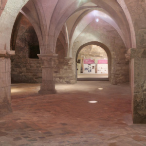 Neufchâteau, Houdreville, cave (S)