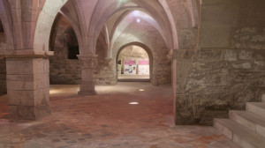 Neufchâteau, Houdreville, cellar (S)