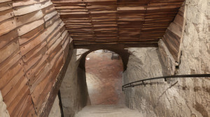 Neufchâteau, Houdreville, cellar (S)