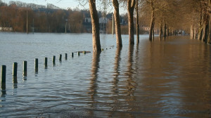 Neufchâteau, Mouzon Hochwasser 27 (I)