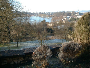 Neufchâteau, floods - chestnut trees (I)