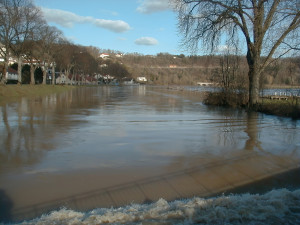 Neufchâteau, floods - chestnut trees (I)