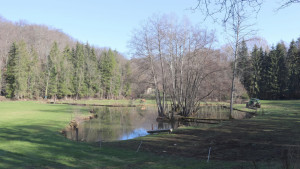 The Étanche, pond (S)