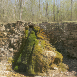 Rollainville, Malavoye, fountain (P)