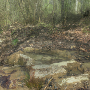 Rollainville, Malavoye, water reservoir (S)
