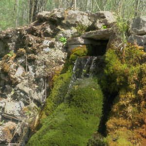 Rollainville, Malavoye, fountain (S)
