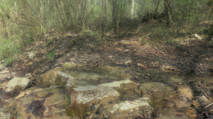 Rollainville, Malavoye, retenue d'eau (S)