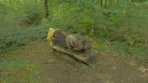 Rollainville, Skulptur – Wildschwein (P)