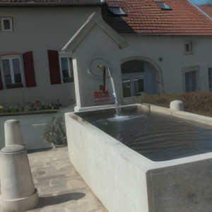 Rollainville, fountain (S)