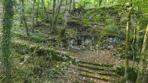 Neufchâteau, vignes - panoramique (P)