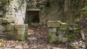 Neufchâteau, vignes (S)