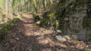 Neufchâteau, vignes (S)
