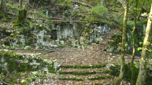 Neufchâteau, vignes - ruine (S)