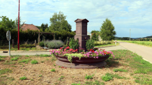 Pargny, bassin fleuri (S)