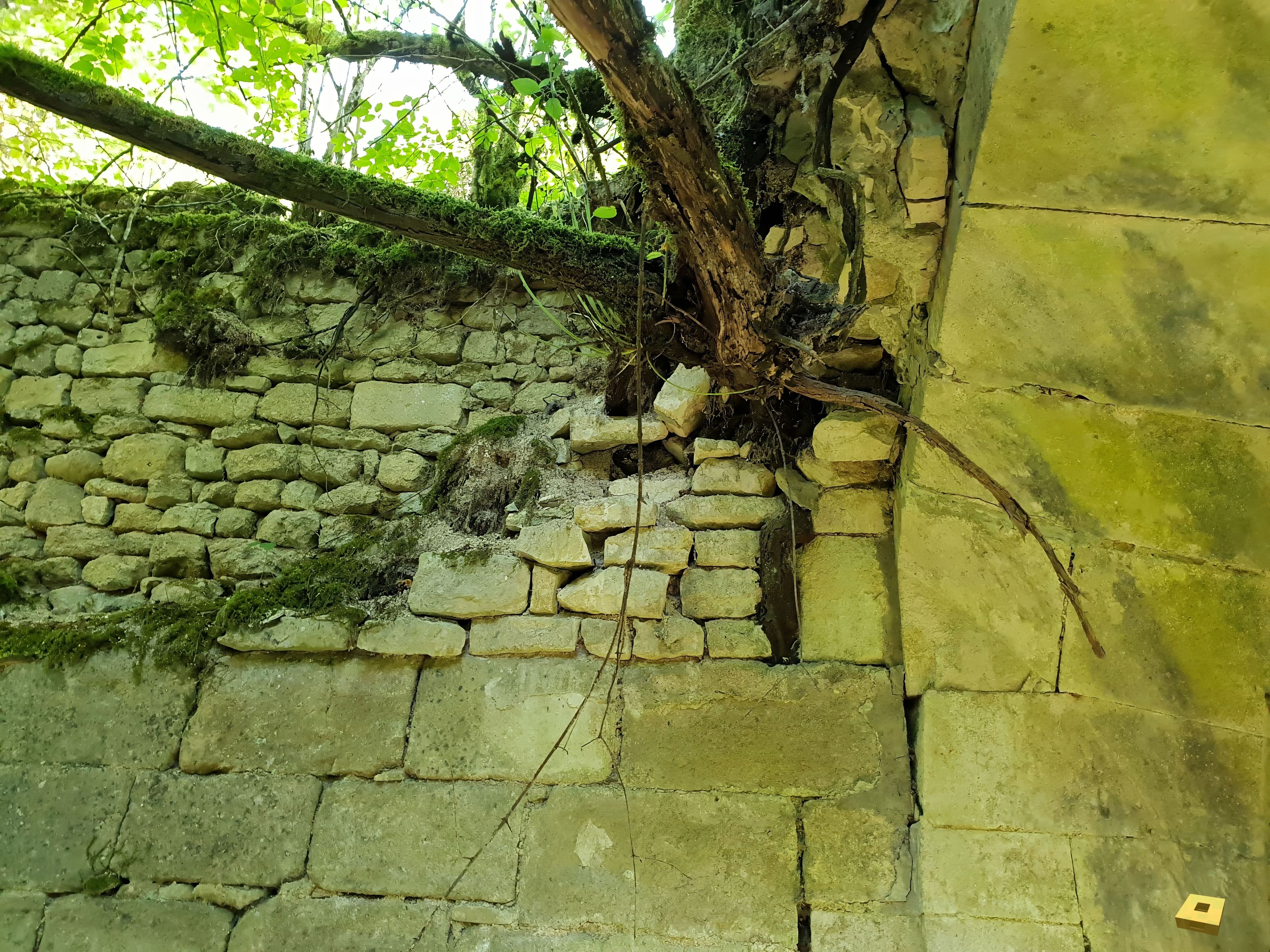 Pargny, Abbaye de Mureau (I)