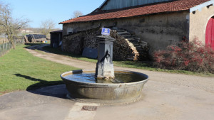 Pleuvezain, fountain (S)