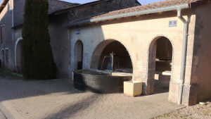 Pleuvezain, fountain (S)