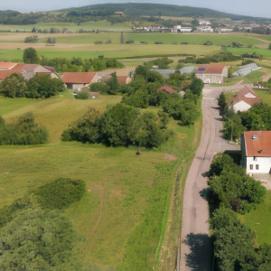 Rémois, south (P)
