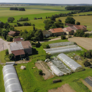 Rémois, north (S)