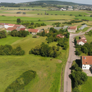 Rémois, south (S)