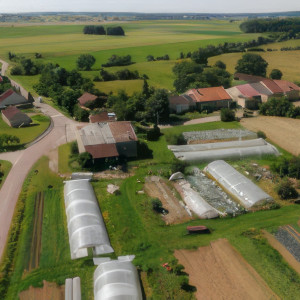 Rémois, north (P)