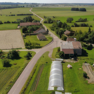 Rémois, north (S)